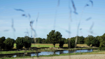 Anthony, éleveurs de volailles festives Label Rouge à Saint-Aubin-de-Baubigné (79)