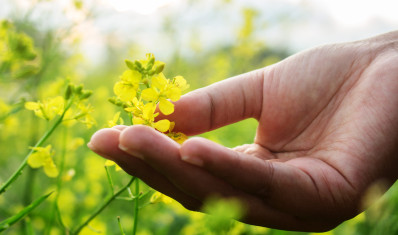 Nous participons à| cultiver la biodiversité