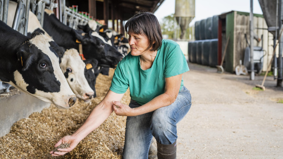 Valérie, éleveuse de vaches à Sainte-Pazanne (44)